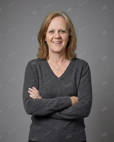 Professional studio portrait of Elizabeth Anne Hardy, British artist and mother of actor Tom Hardy, wearing a grey sweater.
