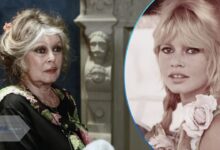 Brigitte Bardot young iconic photo vs recent image before her death at 91. The French actress and animal activist passed away at La Madrague.
